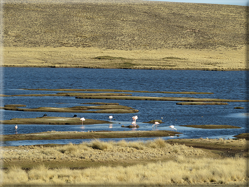 foto Lago Titicaca